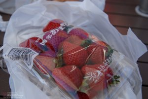 20170106085017_NIKON D200.jpg